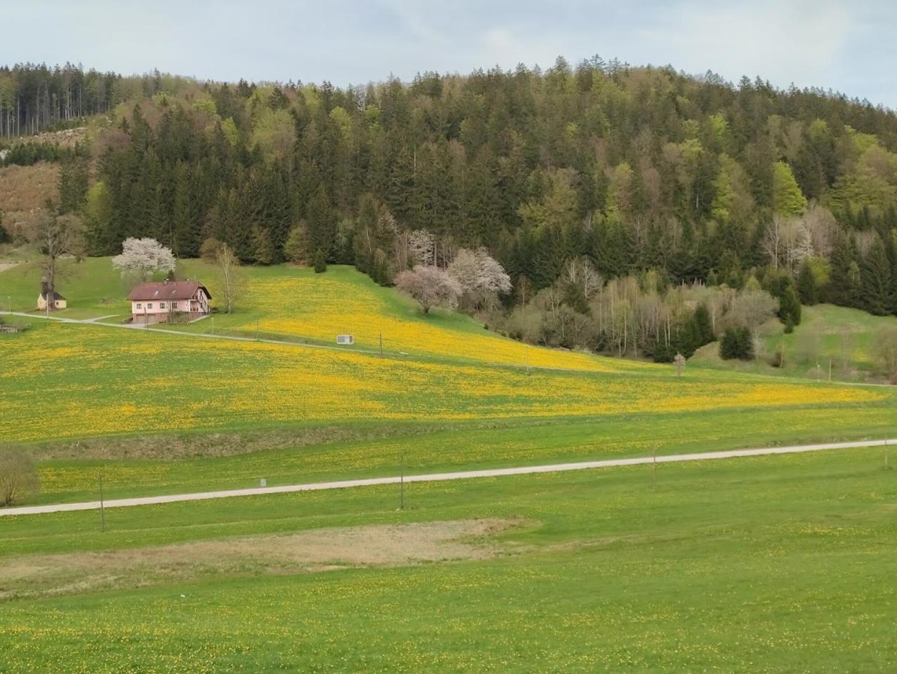 Schönbach Ferienhaus Schoeller מראה חיצוני תמונה